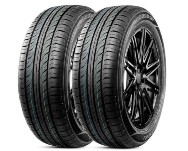 Kit 2 Pneu Xbri Aro 16 225/55r16 95V TL Ecology